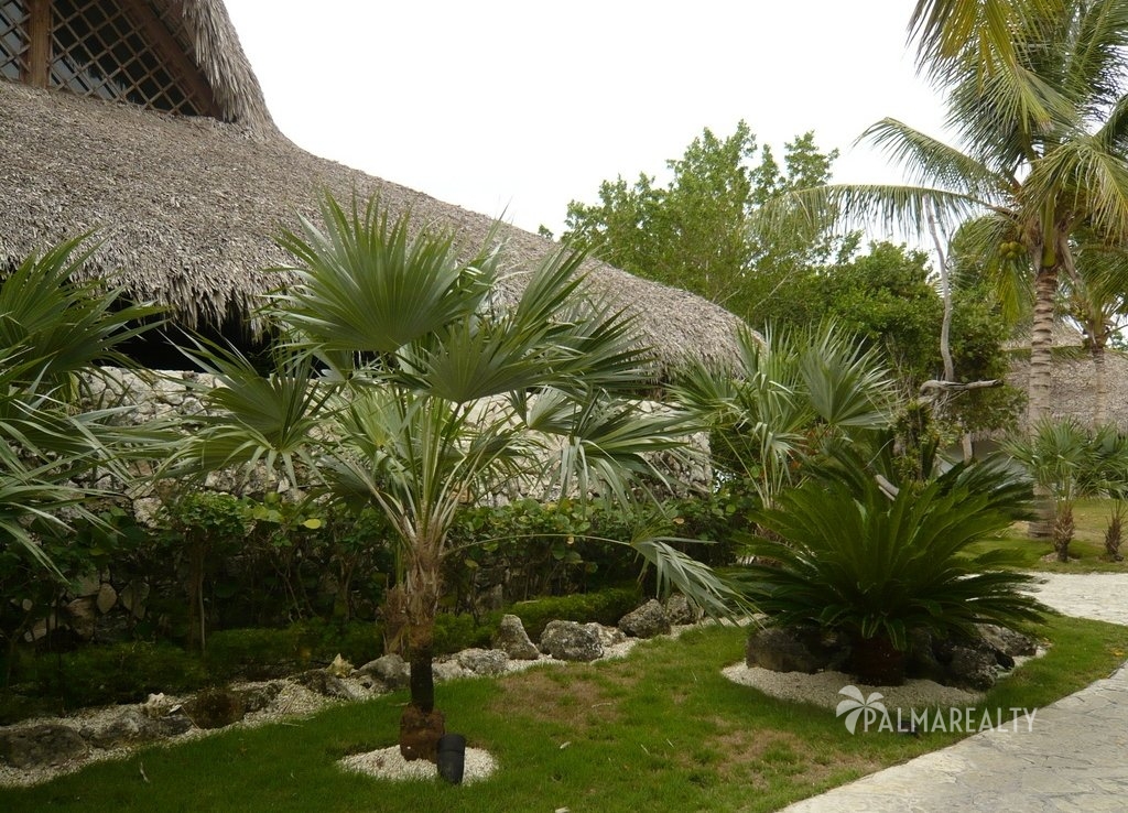 Бунгало в Доминикане на берегу моря в резиденции Калетон (Caleton) на элитном курорте Кап Кана (Cap Cana)